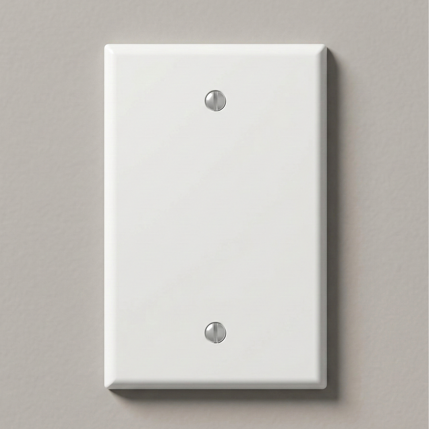 Midway/Standard White Variant: A stark, minimalist white blank wall plate with a smooth thermoplastic nylon finish and two vertically aligned, color-matched mounting screws, demonstrating precise geometric harmony against a neutral interior wall.
