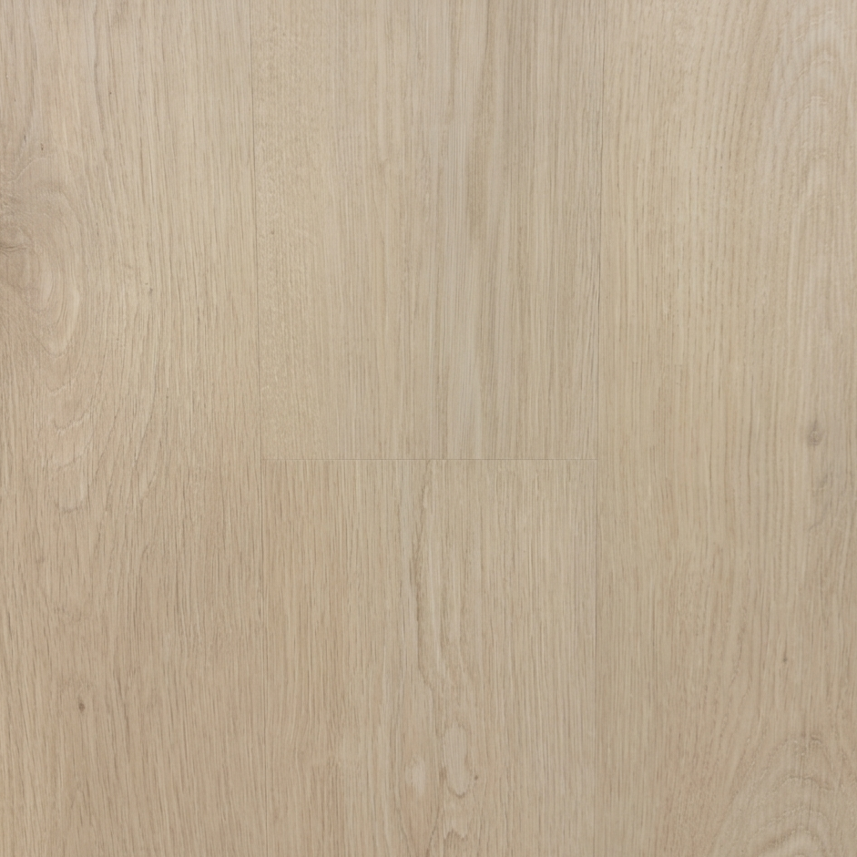 Close-up of a beige wood grain texture